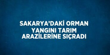 22143253352023828637tasarimli