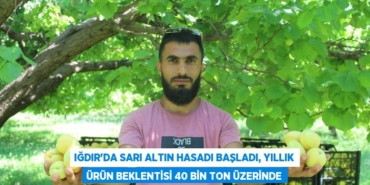 22148281342487328746tasarimli