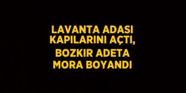 22149267712807020451tasarimli
