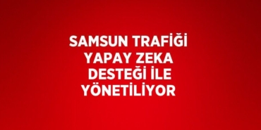 22154225503046929366tasarimli