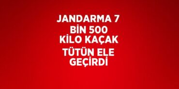 22156209183162123853tasarimli