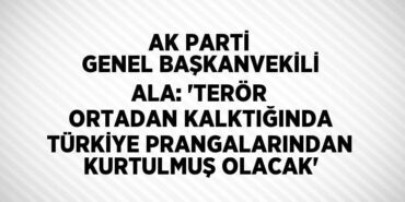 22164250812136829571tasarimli