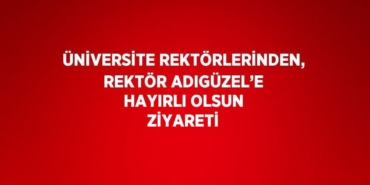 22165218372848829266tasarimli