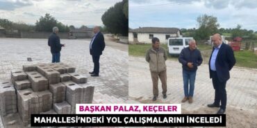 22166226563082829987tasarimli