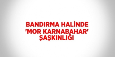 22167283013156529686tasarimli