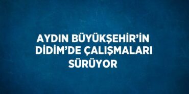 22169307952806621514tasarimli