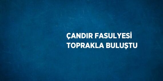 ÇANDIR FASULYESİ TOPRAKLA BULUŞTU