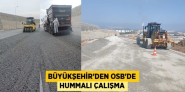 22190269322778725771tasarimli