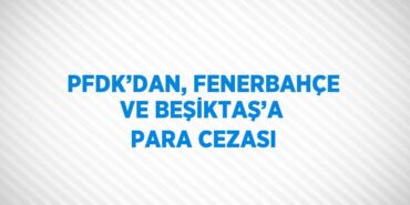 22194314892551227175tasarimli