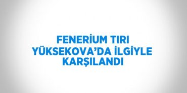 22195208812726425405tasarimli