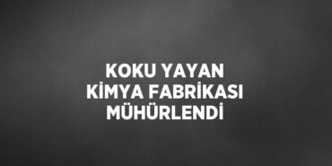 22199219582367328534tasarimli