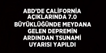 22200273192945830633tasarimli