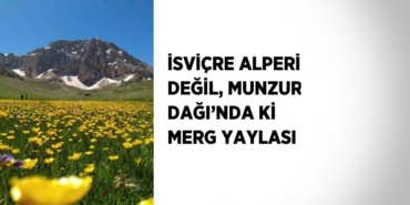 22203285582728229313
