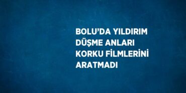 22208252412358431008