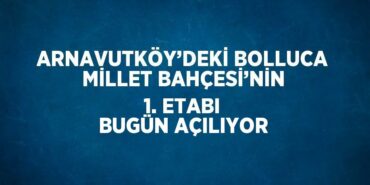 22216298522363928539tasarimli