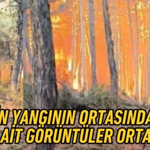 22218260922237331273