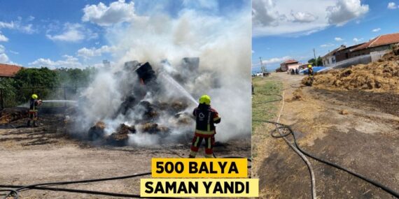 500 BALYA SAMAN YANDI
