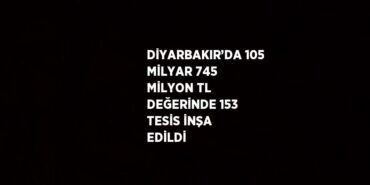 22223305603080131178