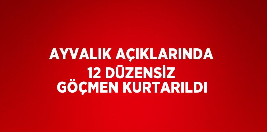 22225256772122230485tasarimli