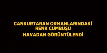 22230213102663520448tasarimli