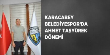 22231253672661227504