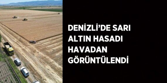 DENİZLİ’DE SARI ALTIN HASADI HAVADAN GÖRÜNTÜLENDİ