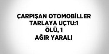 22240222552975924166tasarimli