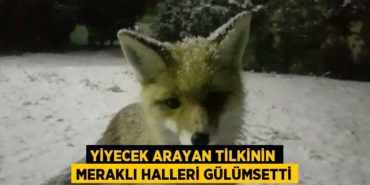 22240277912176721401tasarimli