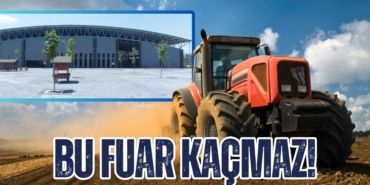 22243281412987826390