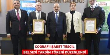 22245279342765422210tasarimli