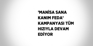 22250208152509122178