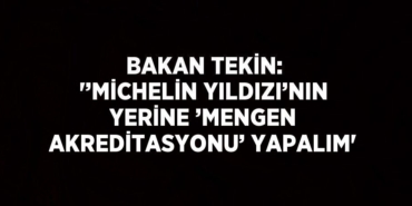 22255311772653430532tasarimli