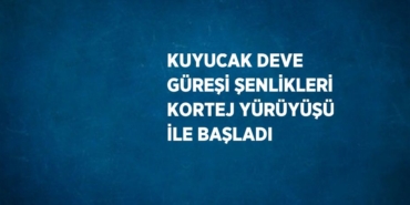 22258250272580826987