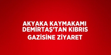 22261299592746728053tasarimli