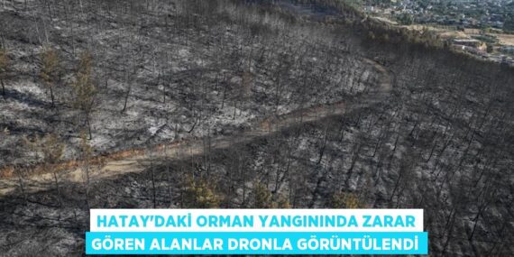 HATAY’DAKİ ORMAN YANGININDA ZARAR GÖREN ALANLAR DRONLA GÖRÜNTÜLENDİ