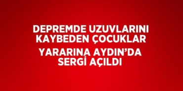 22272281963105024096tasarimli