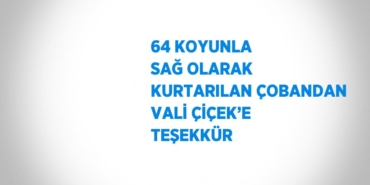 22287247712933727893