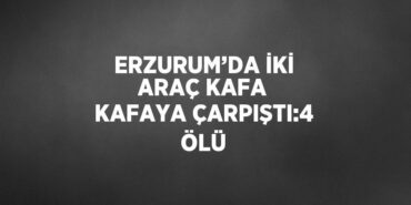 22296281552216021498tasarimli