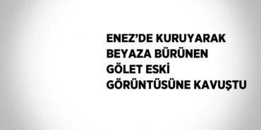 22301295502200622063