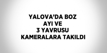 22309244642586430296tasarimli