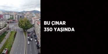 22314307722161130291