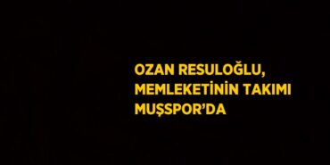 22320200332164222219