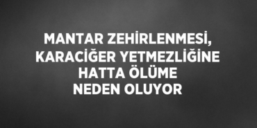 22330284852443223037tasarimli