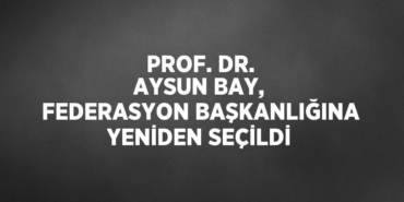 22331209003139025272tasarimli