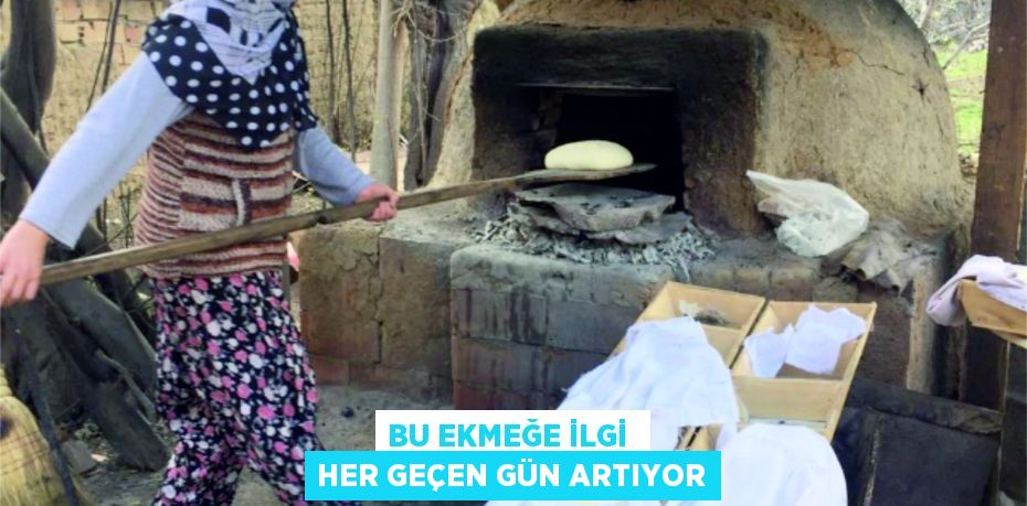 22333304962765528699tasarimli