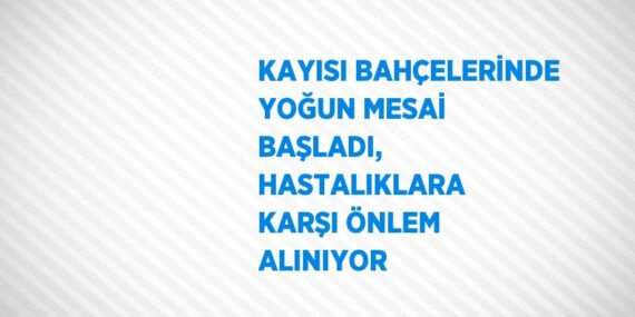 KAYISI BAHÇELERİNDE YOĞUN MESAİ BAŞLADI, HASTALIKLARA KARŞI ÖNLEM ALINIYOR