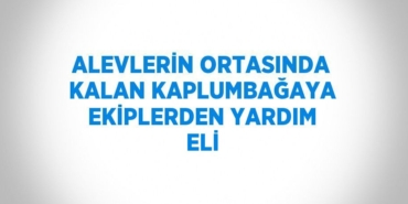 22345259022326521479tasarimli