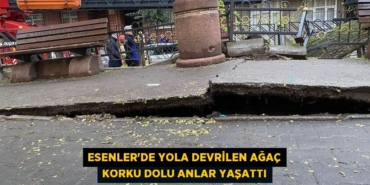 22352201423089330449tasarimli