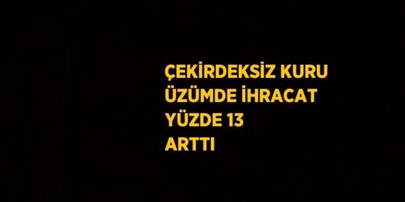 ÇEKİRDEKSİZ KURU ÜZÜMDE İHRACAT YÜZDE 13 ARTTI