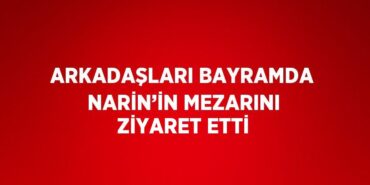 22372251213189830967tasarimli